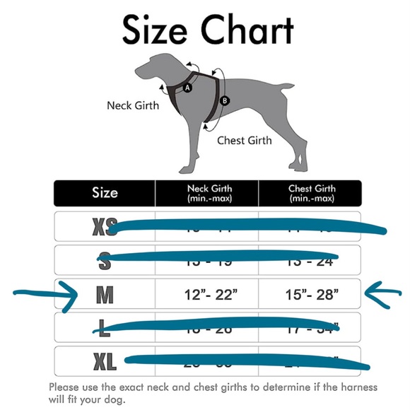 NEW No Pull Dog Harness M + 8’ Leash Black RabbitGoo - Picture 3 of 16